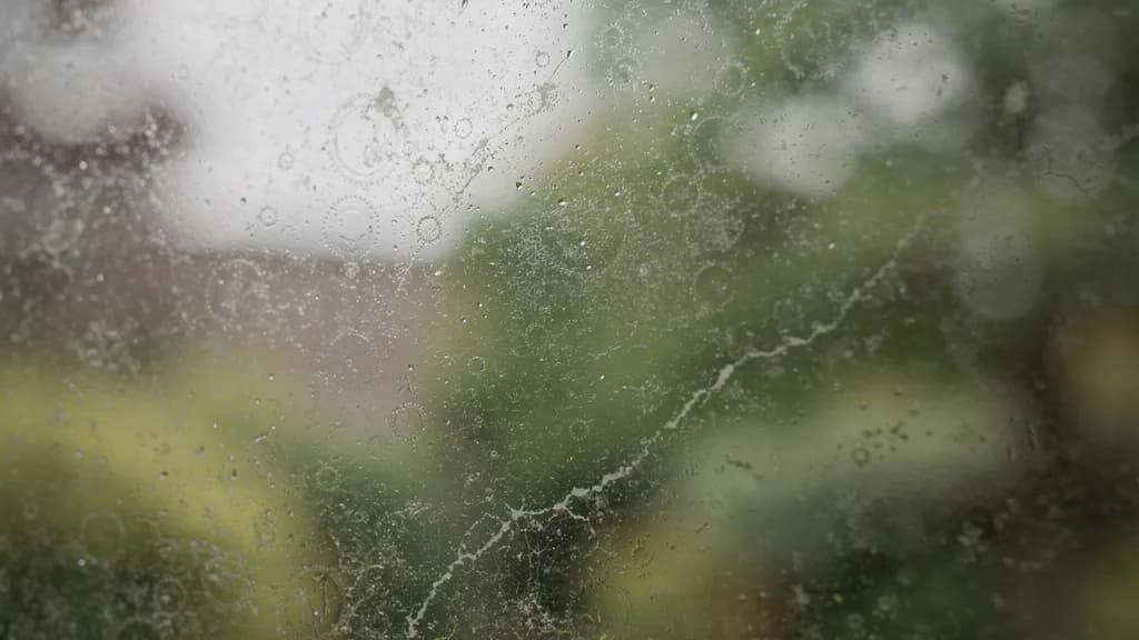 Dried rain spotting and mineral film across a residential window pane with a blurred green garden beyond the glass